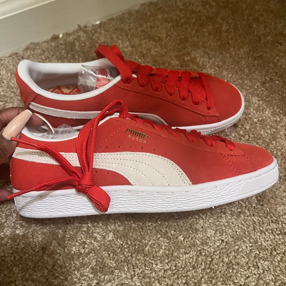 Red Puma
